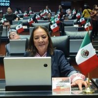 Petardo lanzado al Senado lesionó a la legisladora morenista Lucía Trasviña