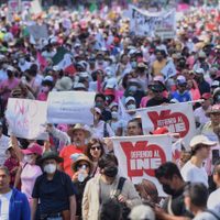 "A eso vine, a defender al INE": marchan miles contra la reforma electoral de AMLO (Videos y fotos)