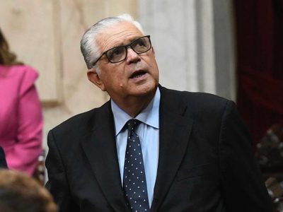 “Vendieron dólares para disimular la crisis”, disparó López Murphy