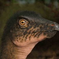 Descubren huesos de dinosaurio bajo un estacionamiento