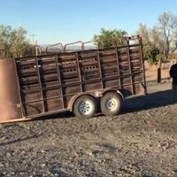 Coahuila: caen dos presuntos responsables del secuestro y homicidio de un ganadero