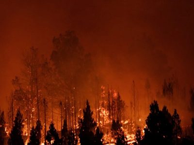 Chubut: denuncian intencionalidad en nuevos incendios en el Parque Nacional Los Alerces