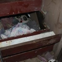 Niña secuestrada hace casi tres años es hallada con vida en cuarto secreto debajo de unas escaleras
