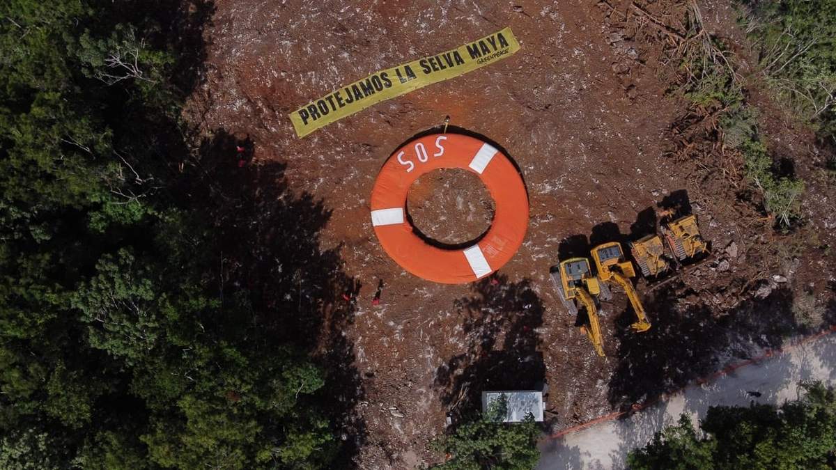 Activistas de Greenpeace se manifestaron pacíficamente en el Tramo 5 del Tren Maya