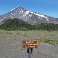 Advierten sobre el peligro de ir con mascotas al Parque Nacional Lanín: de cuánto son las multas