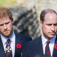 "No se encontraba bien": el último llamado de Harry que preocupa al Príncipe William