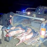 Crianceros del norte patagónico se quejaron por los excesos en las exigencias sanitarias