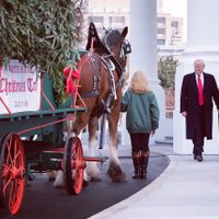 Dos de cada tres votantes republicanos respaldan que Trump se presente de nuevo en 2024