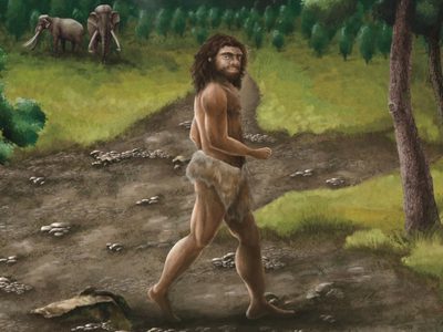 Mandíbula antigua de Taiwán pertenece a un grupo misterioso de ancestros humanos, según científicos
