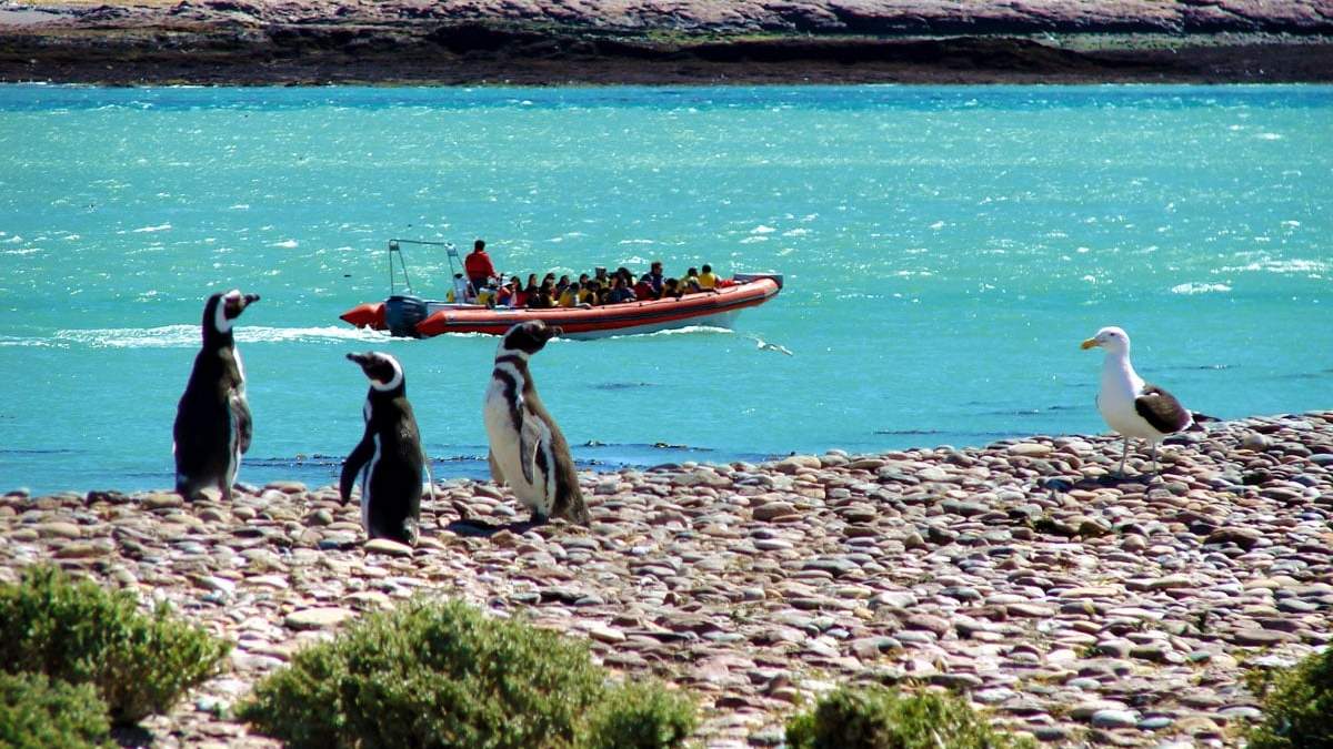 En Santa Cruz, Puerto Deseado. Fuente: (Instagram)