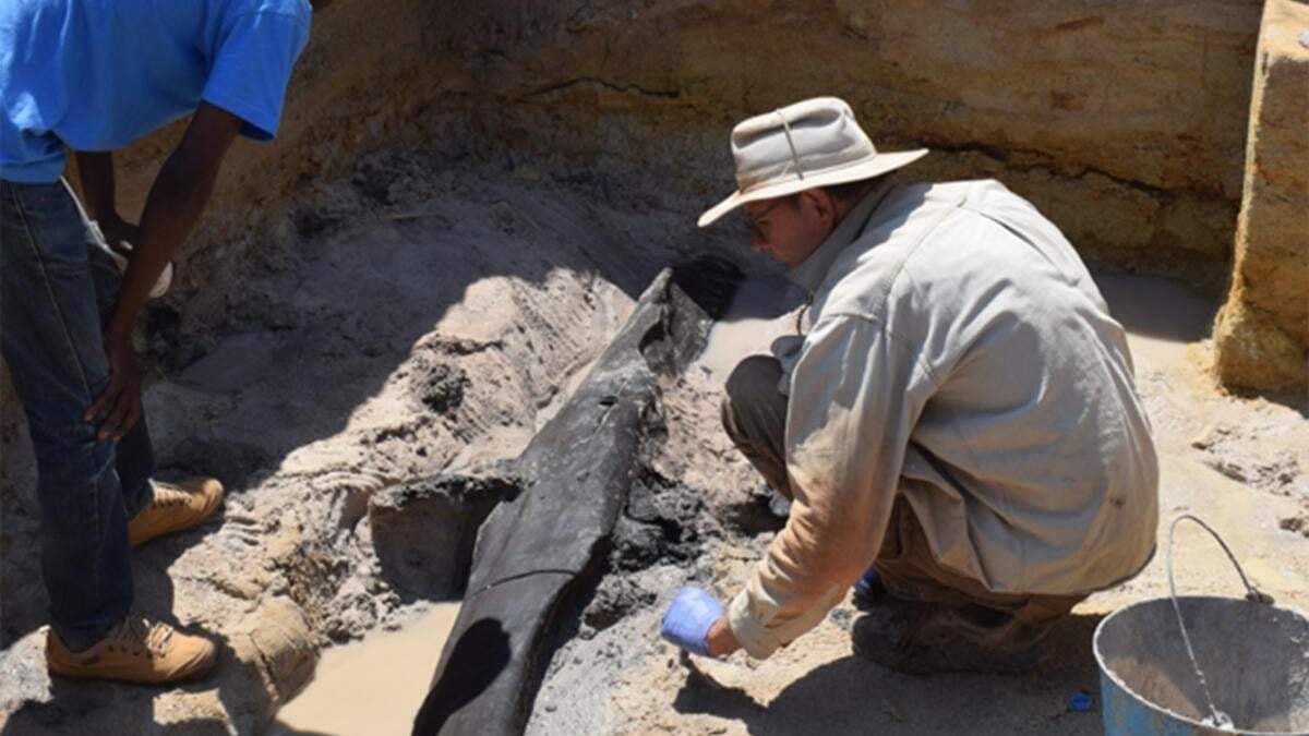 En esta foto proporcionada por los investigadores, un equipo de excavación descubre una estructura de madera en el lecho de un río cerca de una cascada en Zambia en 2019. Según un estudio publicado el miércoles 19 de septiembre de 2023 en la revista Nature, con casi medio millón de años de antigüedad, el par de troncos entrecruzados puede ser la evidencia más antigua de que los primeros humanos construían con madera