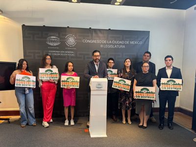 MC presenta iniciativa para que nieguen permisos de construcción cuando implique tala de árboles