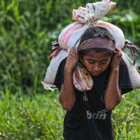 Crisis mundial por covid-19 puede provocar aumento de trabajo infantil, alerta ONG