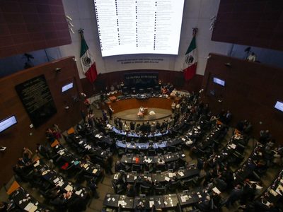 ONG exigen al Senado designar a comisionados faltantes en el INAI