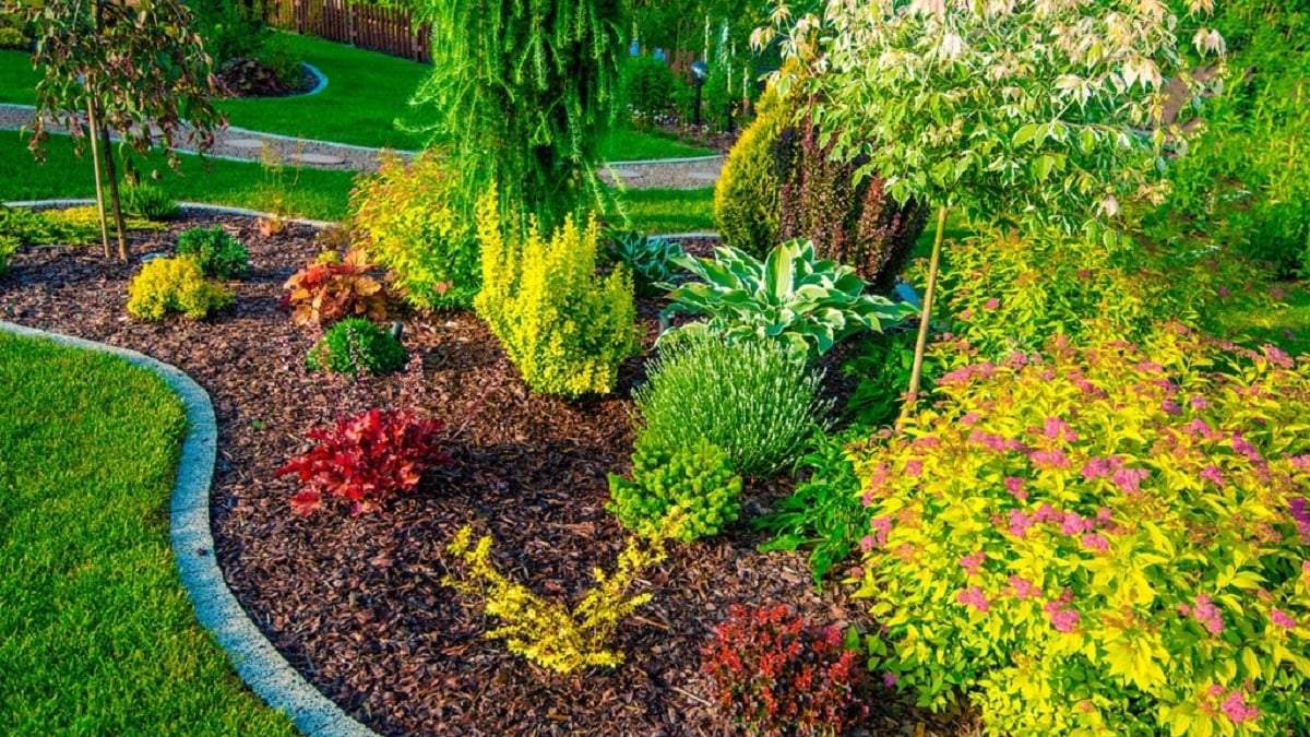 Plantas. Fuente: (X)