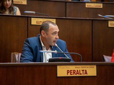 Peralta: “Me preocupa que no se reflejan todos los ingresos extraordinarios por Vaca Muerta”