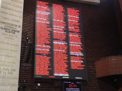 Diputados amplían el concepto de violencia económica contra las mujeres. ¿En qué consiste?