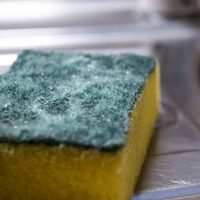 3 trucos de la abuela para mantener las esponjas para lavar platos totalmente limpias y desinfectadas
