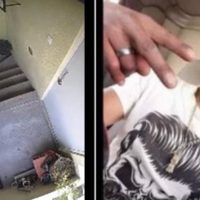 Hombre golpea y avienta de un tercer piso a la perra Enedina en Huejotzingo, Puebla (Video)
