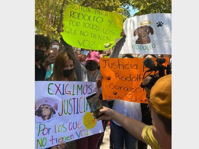 Marchan en Sinaloa para exigir justicia por la muerte del perro "Rodolfo Corazón"