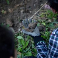 Brigada halla restos óseos en el predio 'La Gallera”, Veracruz