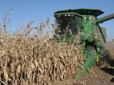 Subieron las retenciones y un sector de productores disparó que el Gobierno "busca un campo enojado"