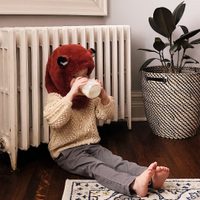 Evitá que tus plantas se marchiten en invierno, así las tenes que cuidar de la calefacción