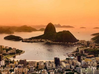 Una colonia de rayas vive milagrosamente en las turbias aguas de Río de Janeiro