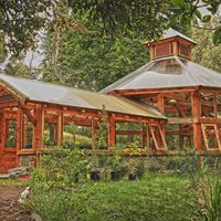 Original excursión para hacer en Neuquén: el Jardín Botánico de la isla Victoria