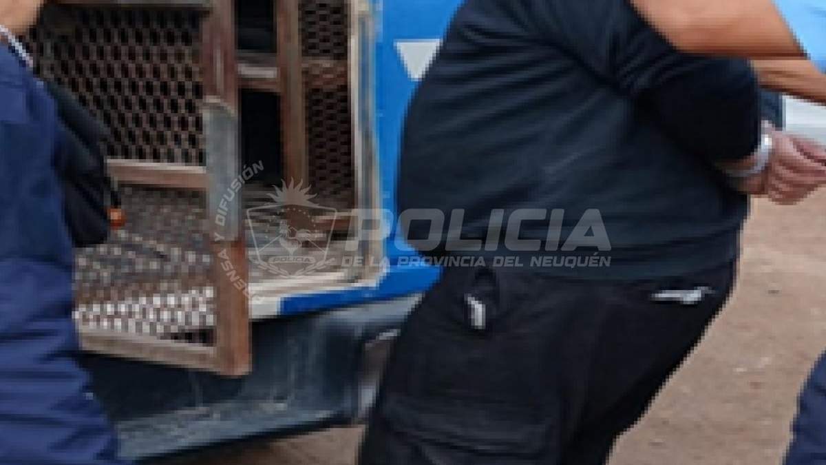 Uno de los detenidos, sospechado de haber participado de la balacera contra un adolescente. Fuente:(Policía de Neuquén)