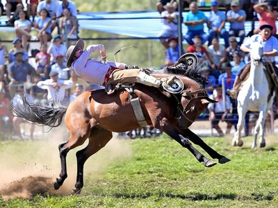 Todo listo en Picún Leufú: fechas y actividades de la XXXI Fiesta del Chacarero y del Hombre de Campo