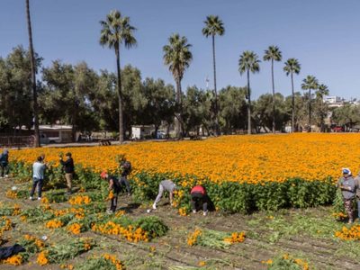 Pronóstico del clima en Mexicali para este viernes 8 de mayo: calor extremo y cielo despejado