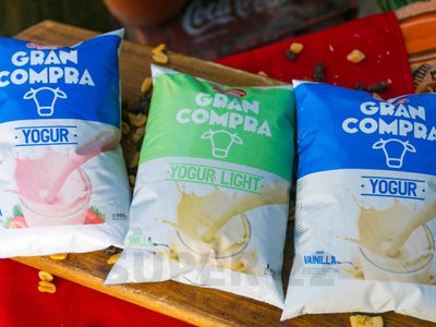 No tires el sachet de yogur: creá esta matera extremadamente hermosa y coqueta para el verano