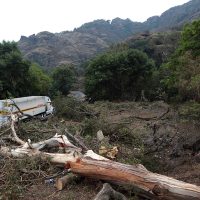 Semarnat autorizó tala para ampliación de la autopista La Pera-Cuautla: Profepa