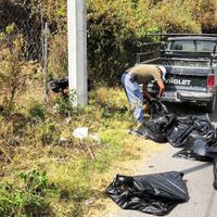 ONG denuncian envenenamiento de 12 perros en Cuernavaca
