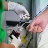 El IMSS llama a recuperados de covid-19 a donar plasma; sólo 113 lo han hecho