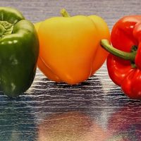 Dulces, para cocinar o para ensaladas: cómo elegir el pimiento perfecto para tus comidas observando solo un detalle