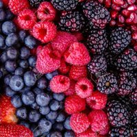 Fruta fina: variedades deliciosas en toda la Patagonia