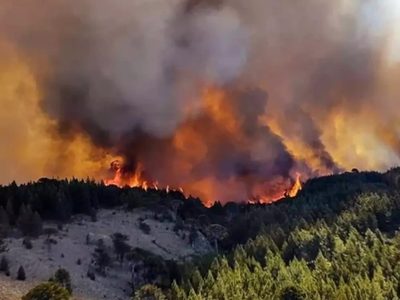 Fuego en la Patagonia: analizan sumar la Ley de Emergencia Ígnea al temario de las extraordinarias