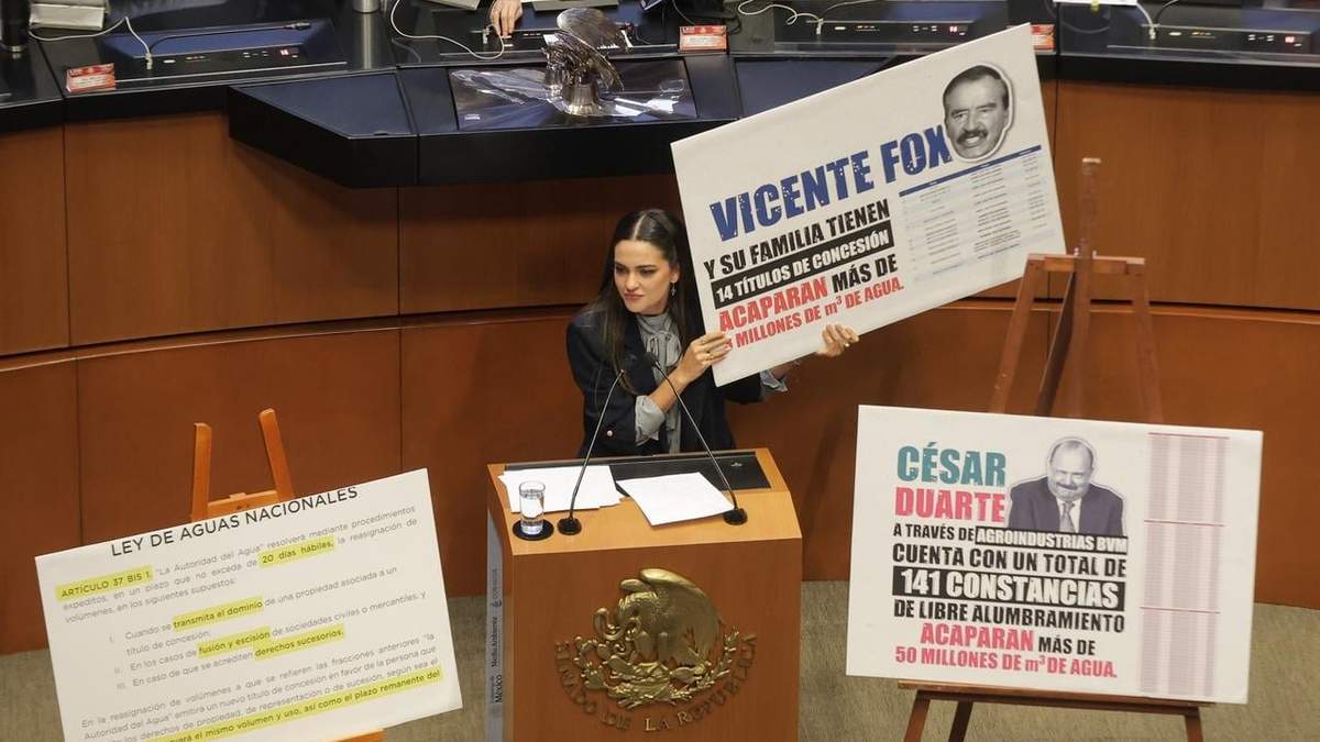 La senadora morenista Andrea Chávez durante la sesión