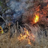 Infierno imparable: los incendios en Córdoba ya incineraron más de 11.000 hectáreas
