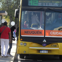 Transporte público en Neuquén: “Necesitamos más colectivos en las calles”