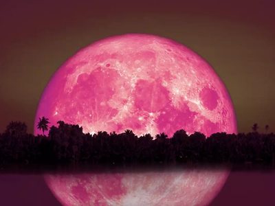 Luna de Fresa: el ritual más poderoso para hacer este viernes si querés que el dinero y el amor nunca falte en tu casa