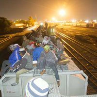 INM reporta más de 50 operativos contra migrantes en seis entidades, con mil 189 detenidos