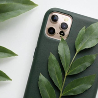 Poné la hoja de esta poderosa planta en tu celular para desbloquear el dinero y recibir abundancia