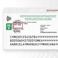 Mexicanos en el extranjero tendrán primer documento de identidad oficial no binario