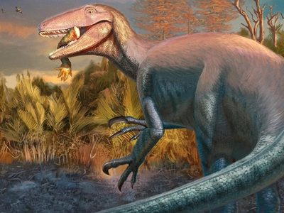 Hallan uno de los últimos dinosaurios carnívoros que habitó la Tierra