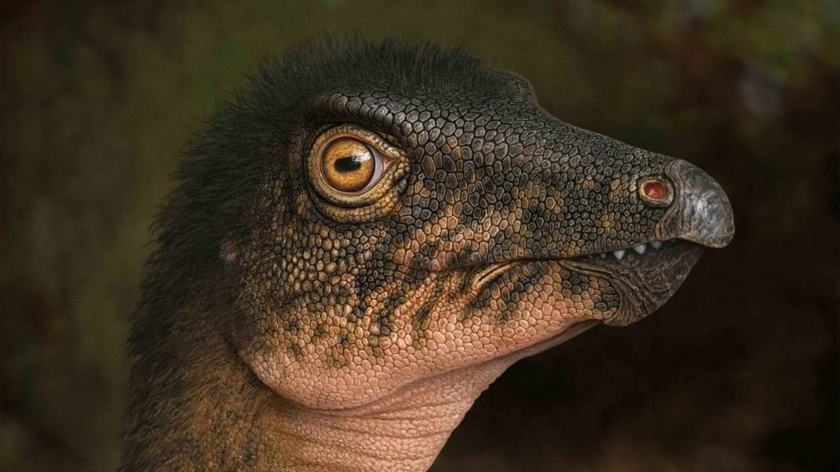 Imagen de un dinosaurio ornitópodo herbívoro, Thescelosaurus