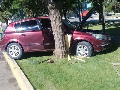 Insólito accidente en Plaza Huincul: un vehículo impactó contra un árbol