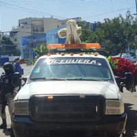 Así fue el traslado de los restos de “El Mencho”, líder del CJNG, al panteón de Zapopan (Video)